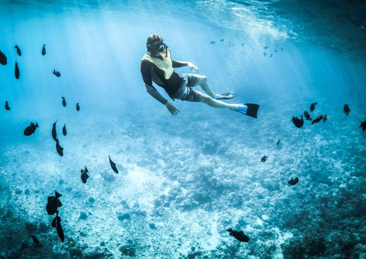 Buceo autónomo y semi autónomo